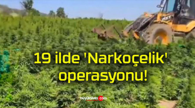 19 ilde ‘Narkoçelik’ operasyonu!