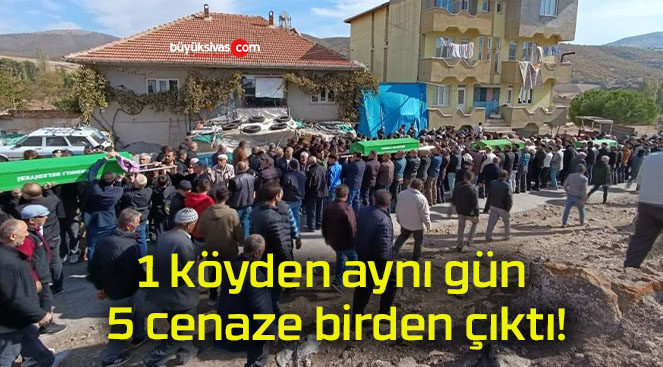 1 köyden aynı gün 5 cenaze birden çıktı!