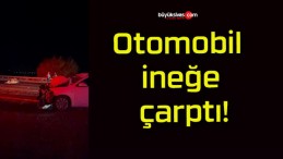 Otomobil ineğe çarptı!