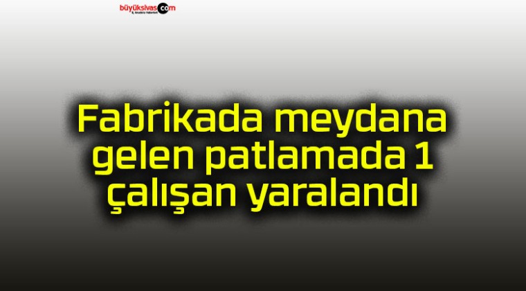 Fabrikada meydana gelen patlamada 1 çalışan yaralandı