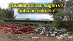 Çuvallar dolusu soğan ve patlıcan döküldü!