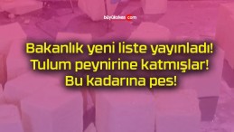 Bakanlık yeni liste yayınladı! Tulum peynirine katmışlar! Bu kadarına pes!