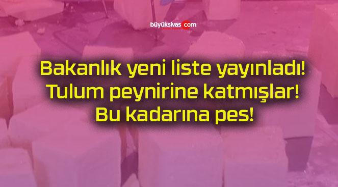 Bakanlık yeni liste yayınladı! Tulum peynirine katmışlar! Bu kadarına pes!