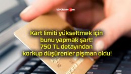 Kart limiti yükseltmek için bunu yapmak şart! 750 TL detayından korkup düşürenler pişman oldu!