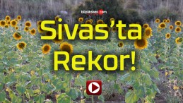 Sivas’ta Rekor!