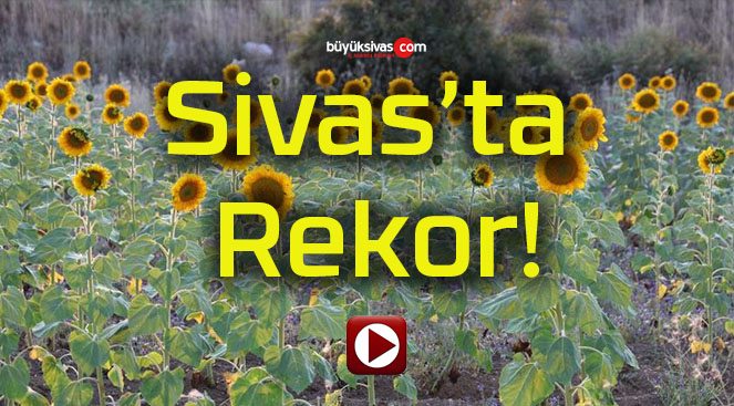 Sivas’ta Rekor!