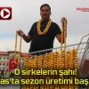 O sirkelerin şahı! Sivas’ta sezon üretimi başladı!