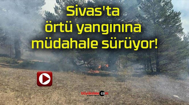 Sivas’ta örtü yangınına müdahale sürüyor!