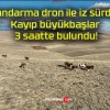 Jandarma dron ile iz sürdü! Kayıp büyükbaşlar 3 saatte bulundu!