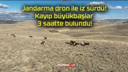 Jandarma dron ile iz sürdü! Kayıp büyükbaşlar 3 saatte bulundu!