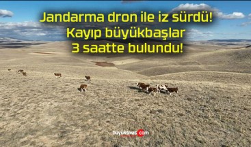 Jandarma dron ile iz sürdü! Kayıp büyükbaşlar 3 saatte bulundu!