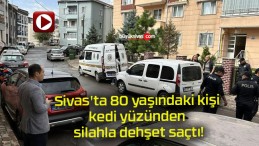 Sivas’ta 80 yaşındaki kişi kedi yüzünden silahla dehşet saçtı!