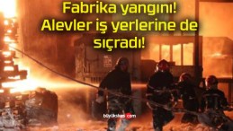 Fabrika yangını! Alevler iş yerlerine de sıçradı!