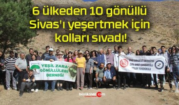 6 ülkeden 10 gönüllü Sivas’ı yeşertmek için kolları sıvadı!