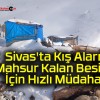 Sivas’ta Kış Alarmı: Mahsur Kalan Besiciler İçin Hızlı Müdahale!