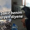 Sivas’ın Fenomen Kargası “Şakir” Benim Diyen Diyene…