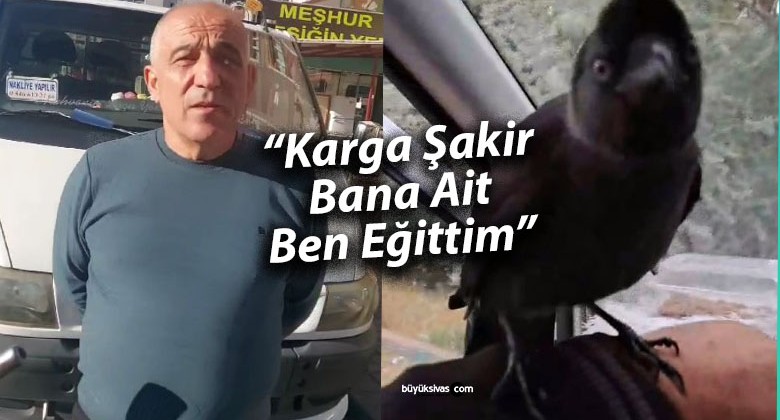 Sivas’ta “Karga Şakir” Aranıyor! “Ben Yetiştirdim…”