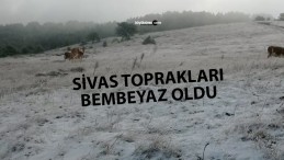 Sivas Yıldızeli Yolçatı Köyü’ne Yılın İlk Karı Düştü