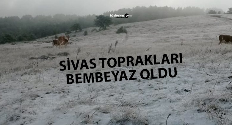 Sivas Yıldızeli Yolçatı Köyü’ne Yılın İlk Karı Düştü