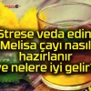 Strese veda edin! Melisa çayı nasıl hazırlanır ve nelere iyi gelir?