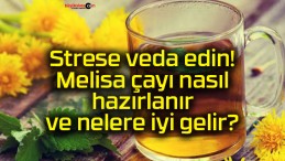 Strese veda edin! Melisa çayı nasıl hazırlanır ve nelere iyi gelir?