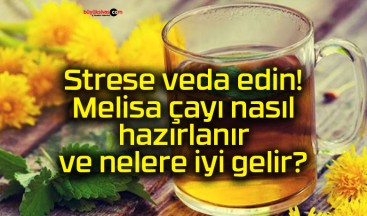 Strese veda edin! Melisa çayı nasıl hazırlanır ve nelere iyi gelir?