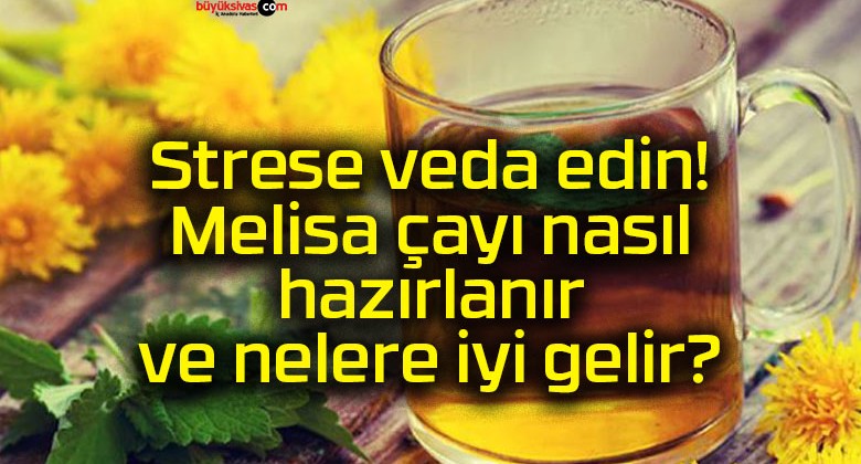 Strese veda edin! Melisa çayı nasıl hazırlanır ve nelere iyi gelir?