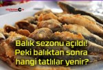 Balık sezonu açıldı! Peki balıktan sonra hangi tatlılar yenir?