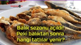 Balık sezonu açıldı! Peki balıktan sonra hangi tatlılar yenir?