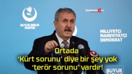 Ortada ‘Kürt sorunu’ diye bir şey yok ‘terör sorunu’ vardır!