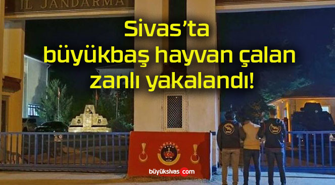 Sivas’ta büyükbaş hayvan çalan zanlı yakalandı!