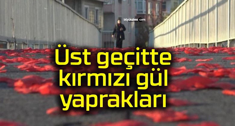 Üst geçitte kırmızı gül yaprakları