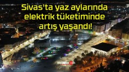 Sivas’ta yaz aylarında elektrik tüketiminde artış yaşandı!