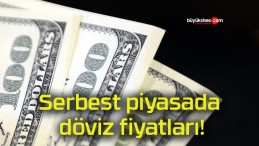 Serbest piyasada döviz fiyatları!