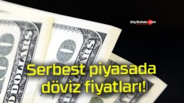 Serbest piyasada döviz fiyatları!