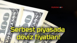 Serbest piyasada döviz fiyatları!