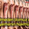 Bilmeden domuz eti yemenin hükmü!