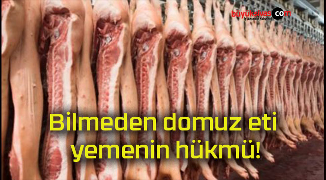 Bilmeden domuz eti yemenin hükmü!