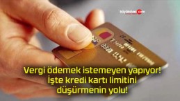 Vergi ödemek istemeyen yapıyor! İşte kredi kartı limitini düşürmenin yolu!