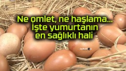 Ne omlet, ne haşlama… İşte yumurtanın en sağlıklı hali