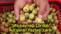 Şifa kaynağı Çördük! Azı yarar! Fazlası zarar!