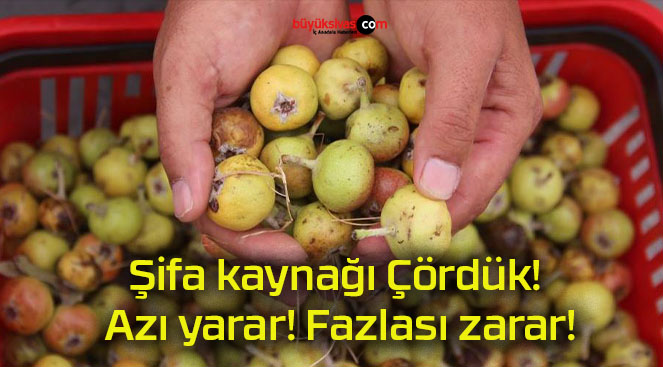 Şifa kaynağı Çördük! Azı yarar! Fazlası zarar!