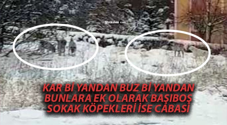 Eğriköprü Mahallesi’nde Vatandaşlardan Belediye Çalışmalarına Tepki