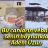 Bu canların vebali senin boynunda Adem Uzun