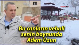 Bu canların vebali senin boynunda Adem Uzun