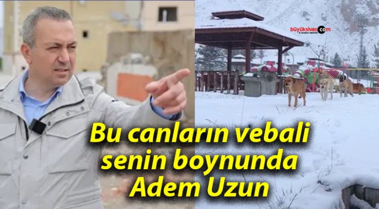 Bu canların vebali senin boynunda Adem Uzun