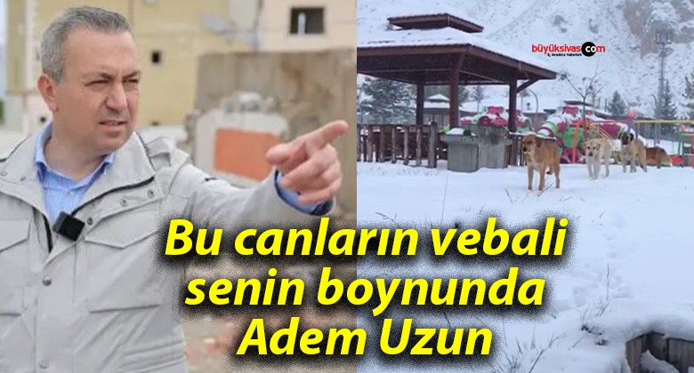 Bu canların vebali senin boynunda Adem Uzun