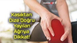 Kasıktan Dize Doğru Yayılan Ağrıya Dikkat!