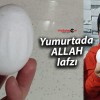 Ulaş’ta Bir Vatandaşın Aldığı Yumurtada “Allah” Yazısı Belirdi