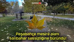 Paşabahçe mesire alanı sonbahar sessizliğine büründü!